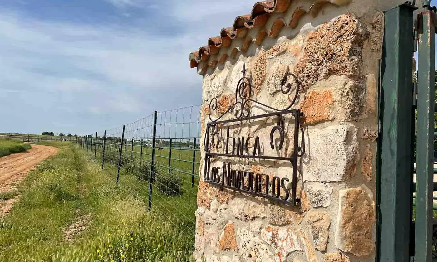 Ruta de 1 hora a caballo para hasta 4 personas con opción a iniciación