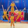 Image 7: Zoppé Circus - Up to 49% Off
