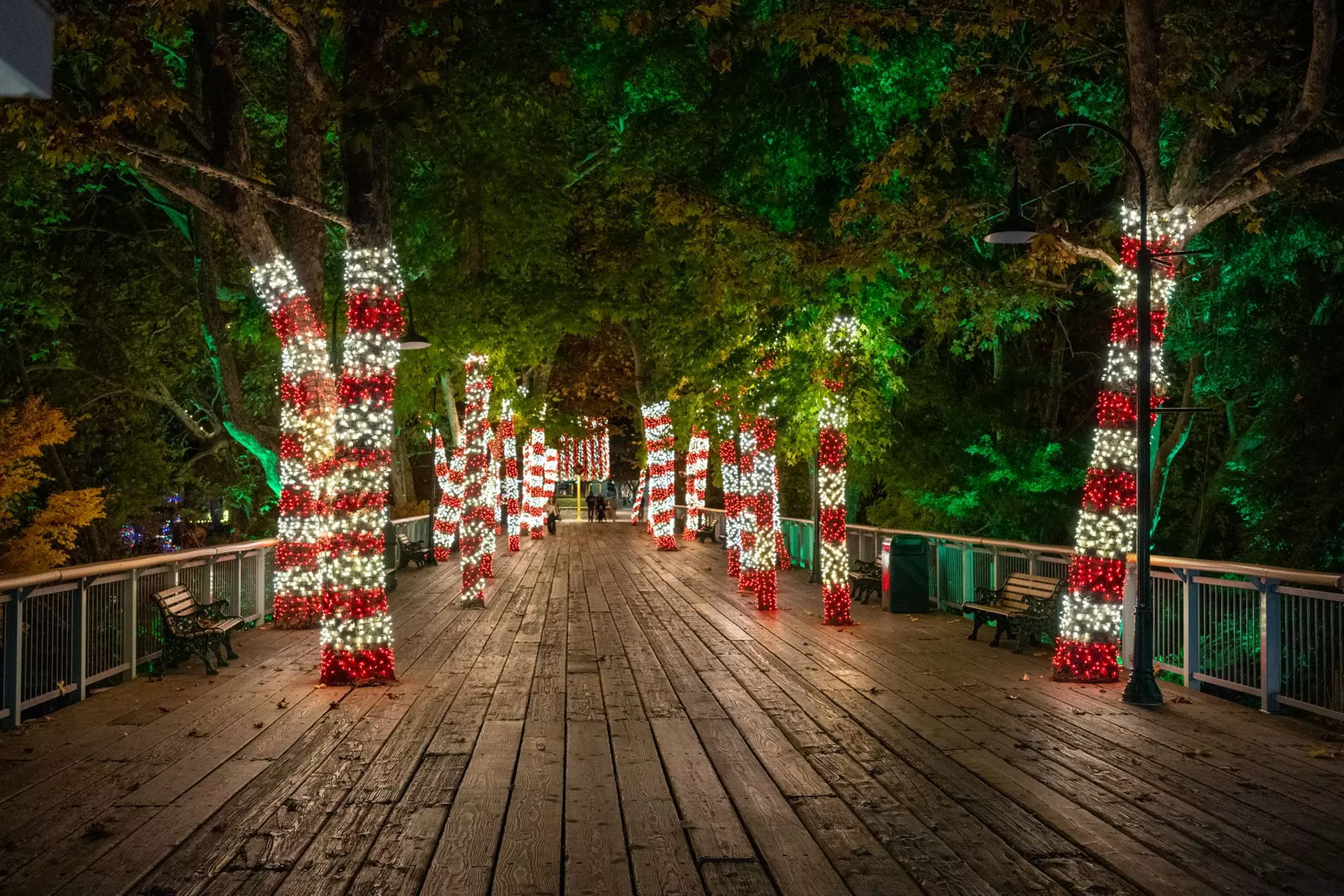 Season Event Admission - The Great Big Boo! and North Pole Nights!