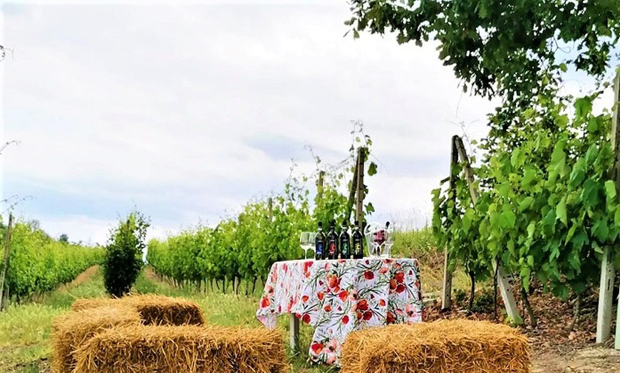 Image 1: Degustazione vini, salumi e formaggi da Azienda agricola Paoletti