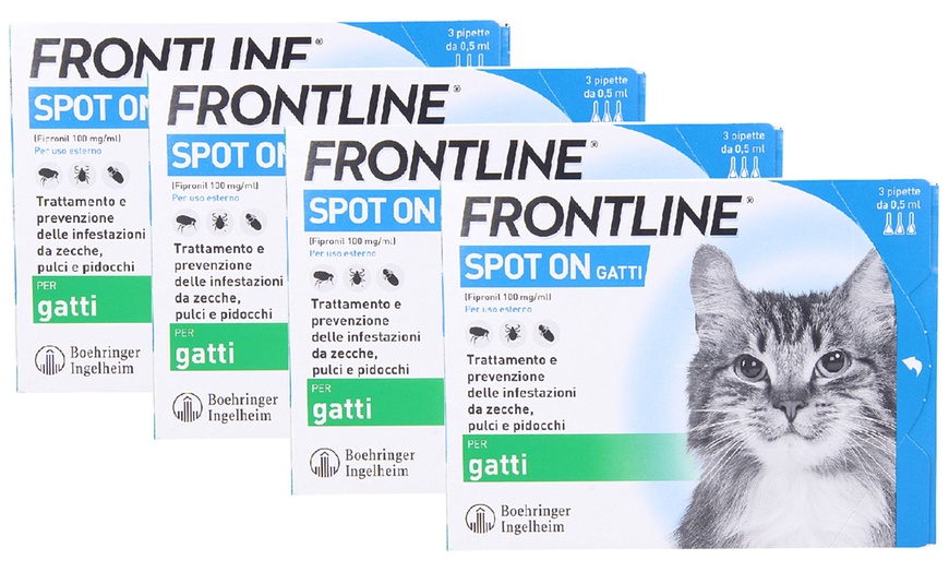 Image 4: Fino a 12 pipette insetticide e acaricide Frontline Spot On gatti