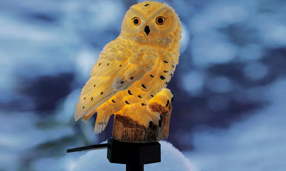 EASYmaxx Solarleuchte Schneeeule für den Außenbereich - Primary Image