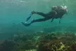 Fascínate con la biodiversidad marina con un bautismo de buceo para 2 personas en Tarifa, con un 50% de descuento - Second Medium