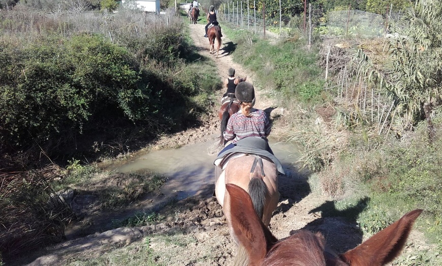 Image 3: Ruta a caballo para 2 o 4 personas en La Suara