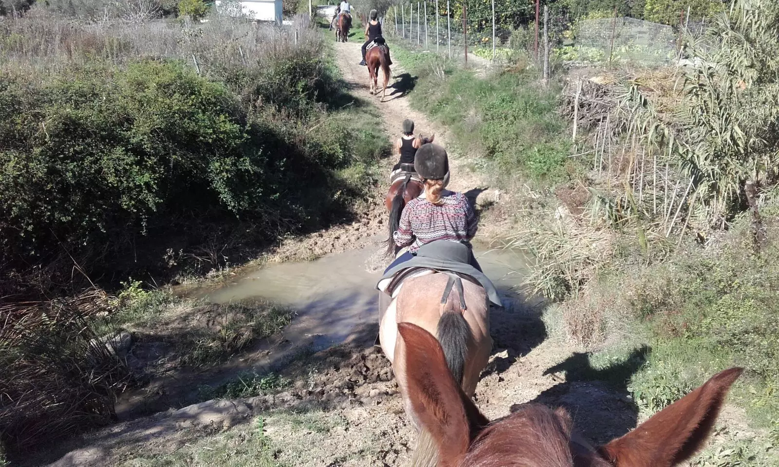 Ruta a caballo para 2 o 4 personas en La Suara