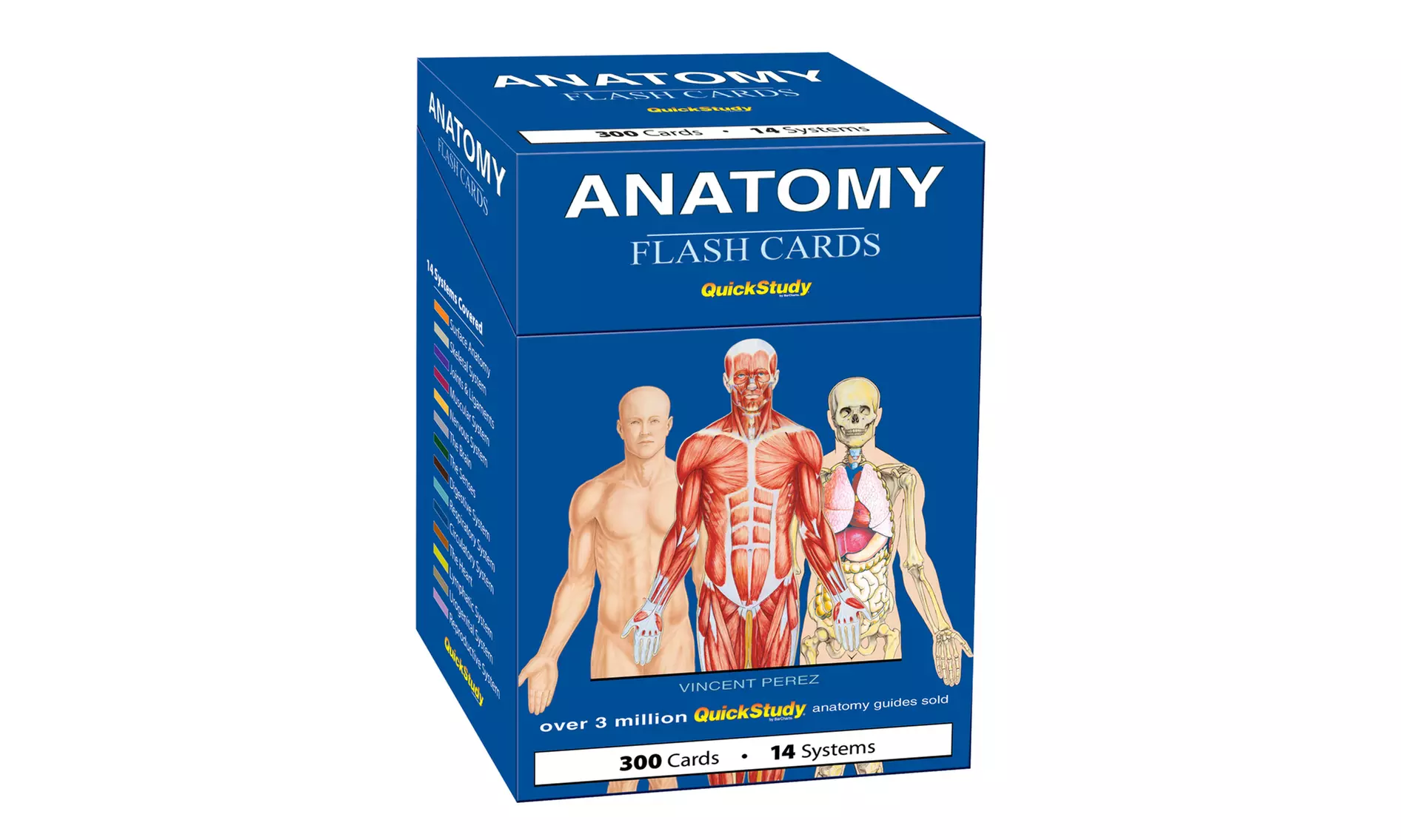 Human Anatomy Flash Cards - Primary Image