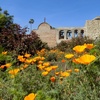 Image 5: Mission San Juan Capistrano – 50% Off Visit