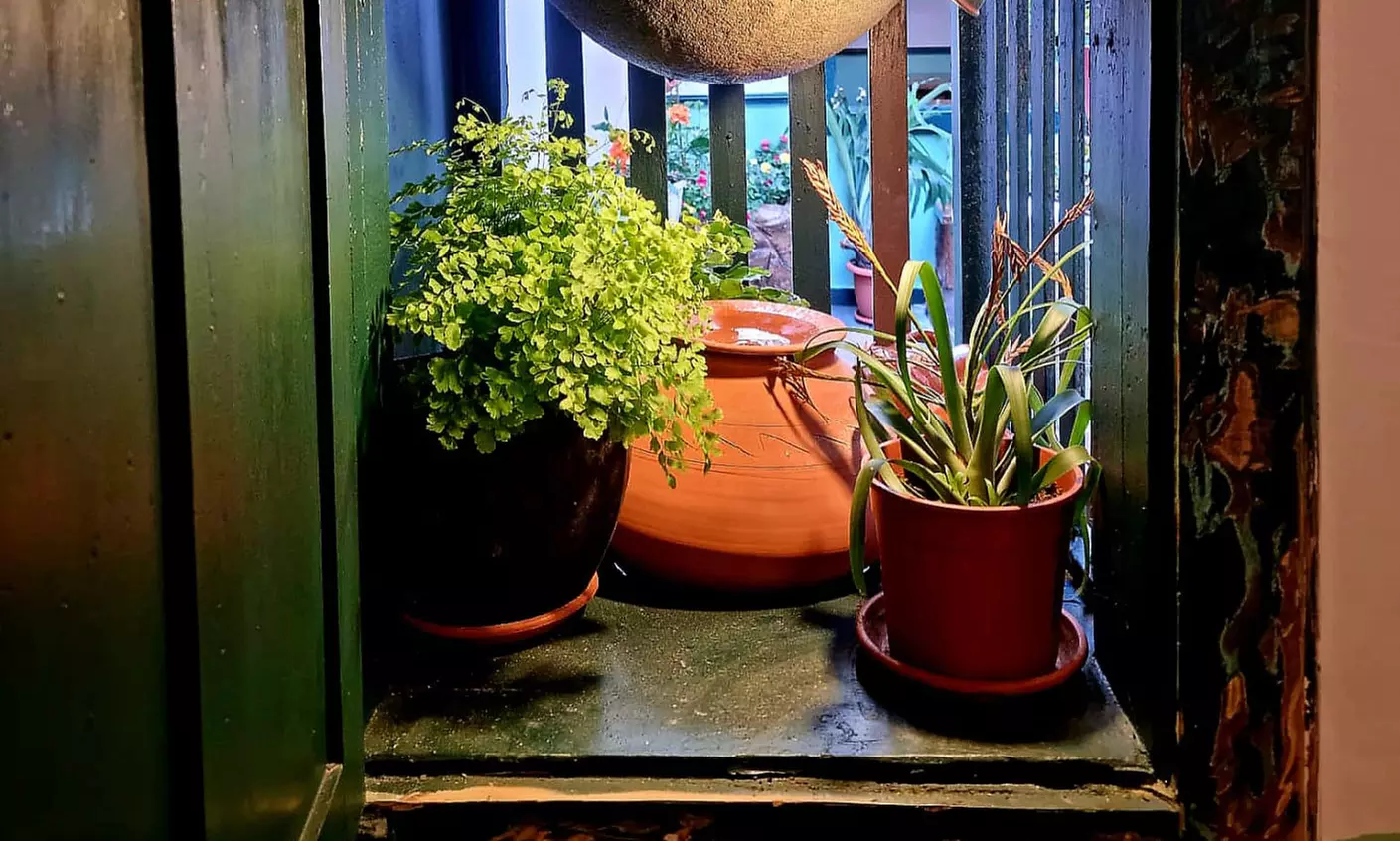 Menú venezolano con arepas, entrantes y pizza frita con helado