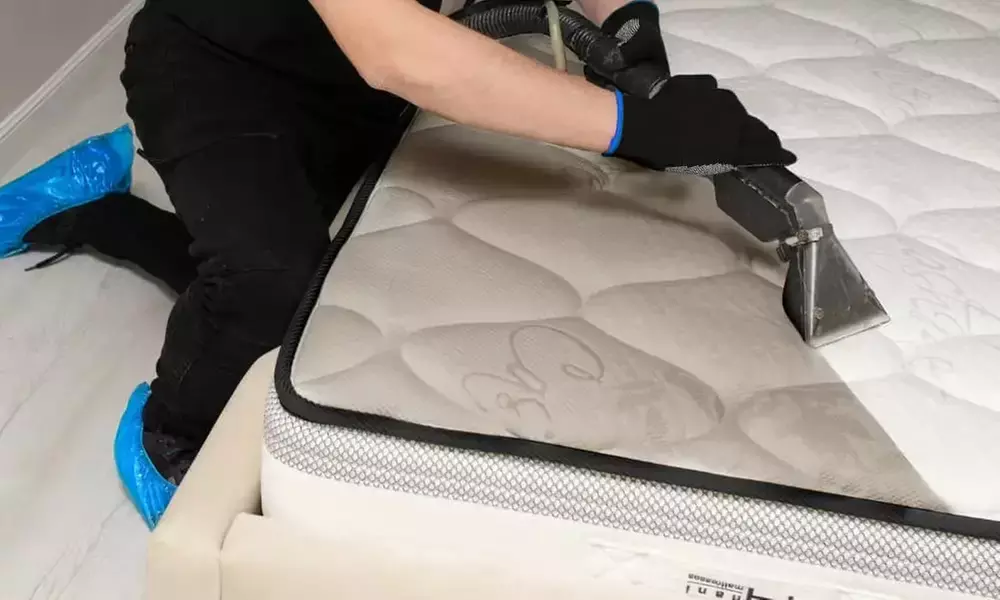 Single, Double, Queen, or King Mattress Deep Clean and Sanitization for Ultimate Comfort
