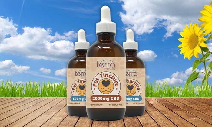 Organic CBD Pet Tinctures in Two Strengths for Happy Pets
