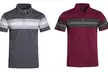2-Pack Hawks Bay Striped Men's Spring Polos - Second Medium