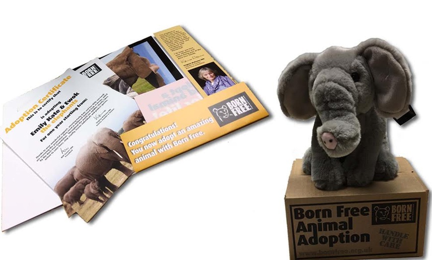 Image 6: Animal Adoption Package