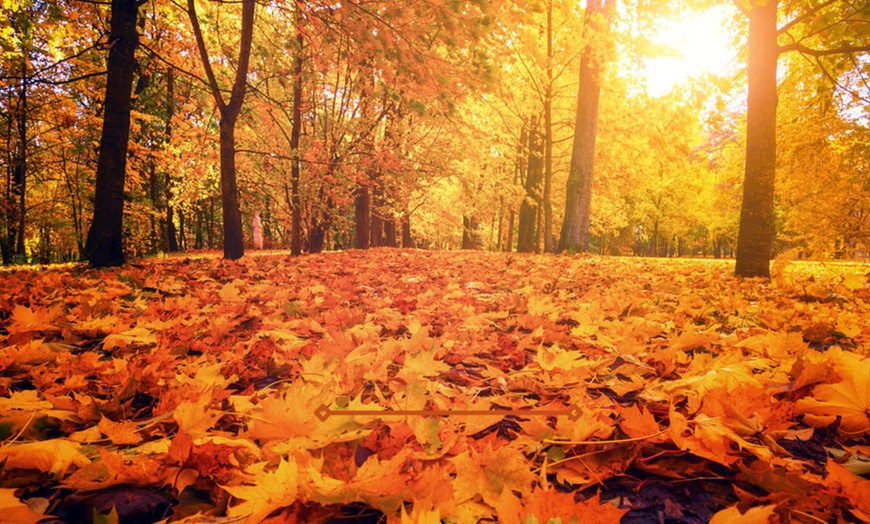 Image 8: 2x Tages-Ticket für „HerbstZeit 2025“ vom 3. -  5. Oktober