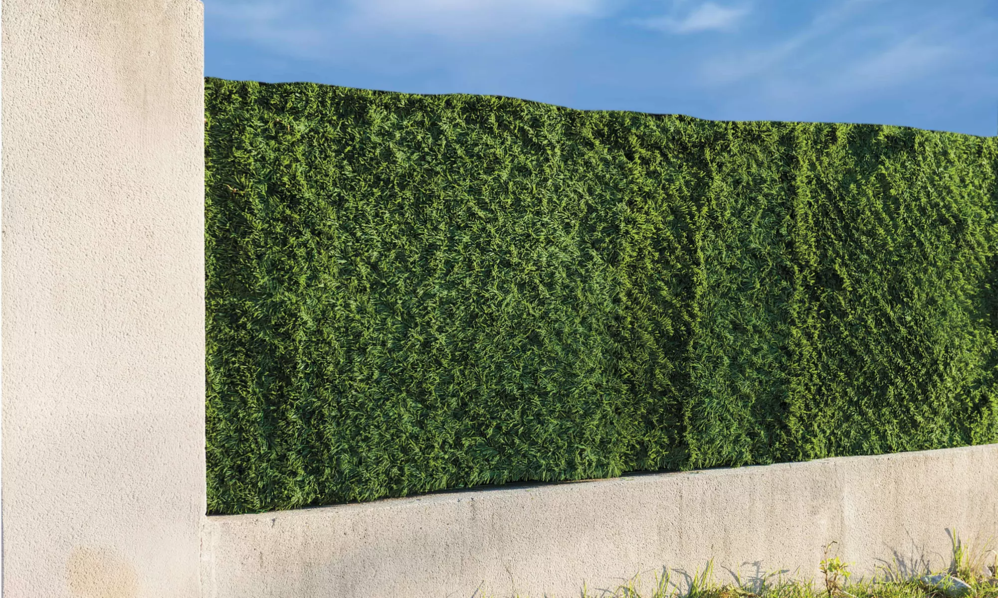 Haie artificielle verte Werkapro, taille au choix, livraison offerte - Image 2