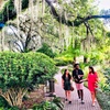 Image 1: New Orleans City, Cemetery, Garden District, Swamp & Plantation Tours