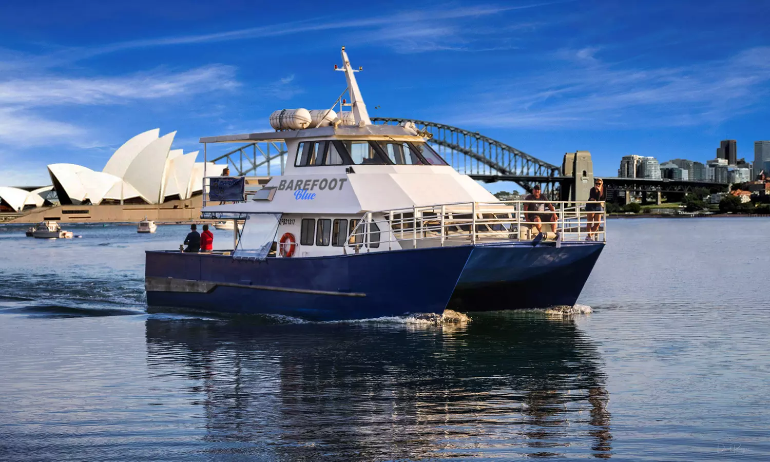 Barefoot Whale Watching Sydney: Three-Hour Tour for Child or Adult