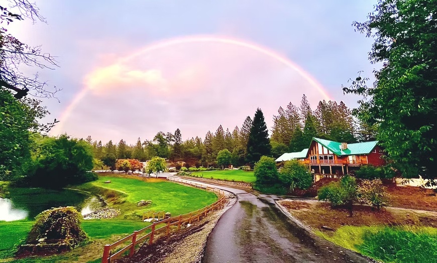 Image 9: Wine Tasting or Tour, Featuring Highland Cattle Encounter