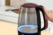 Bouilloire en verre à LED 1.7L Herzberg - Second Medium