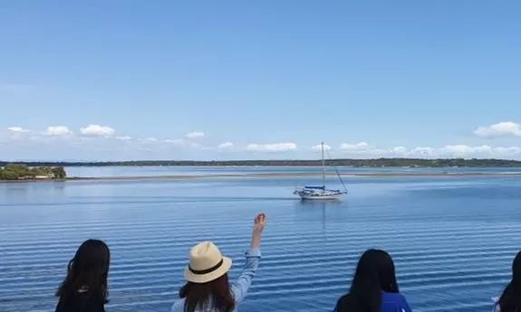 Full-Day Island Safari + Lunch