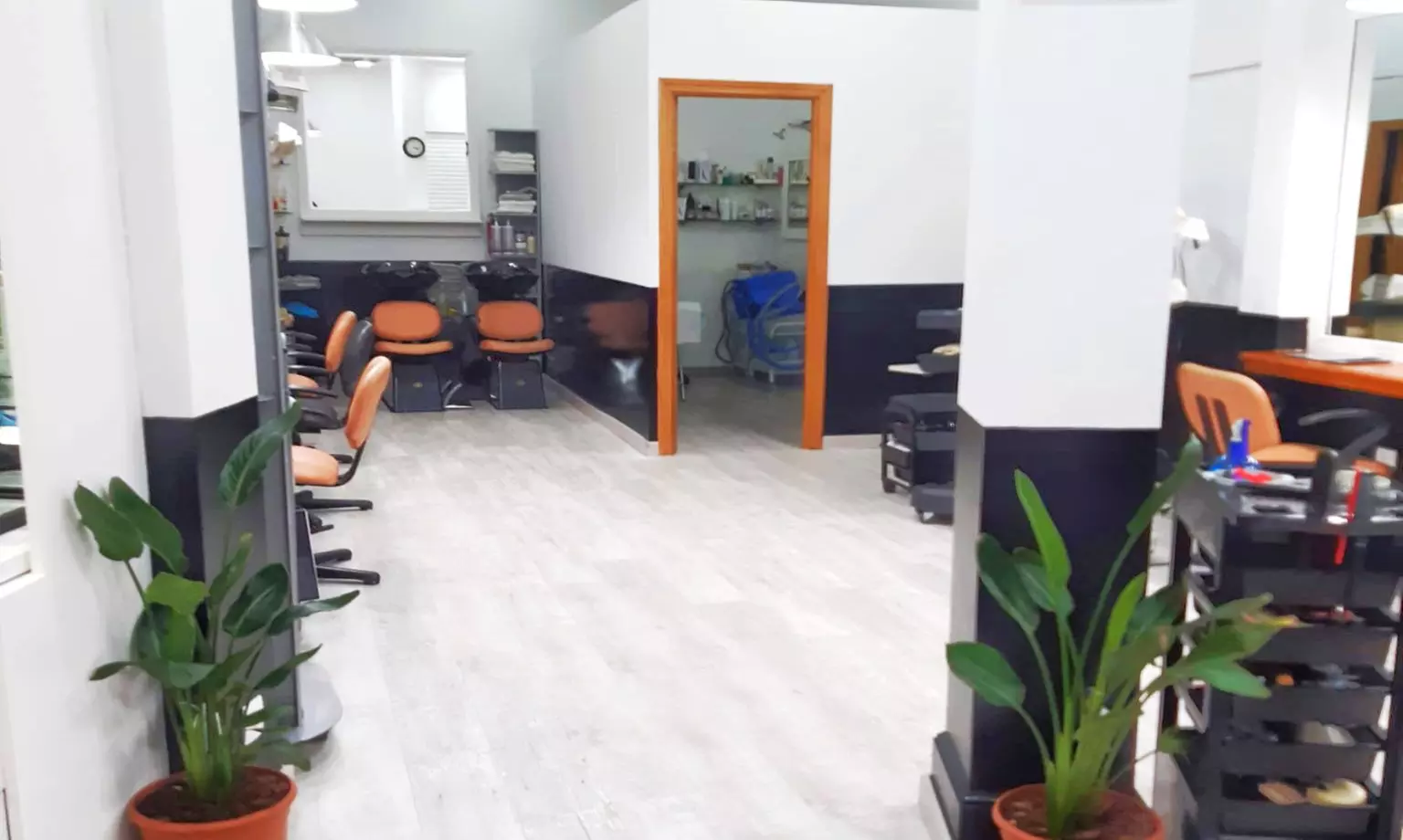 Sesión de peluquería con opción a hidratación y/o color para 1 persona