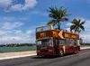 Up to 25% Off Hop-On Hop-Off Bus Tours of Miami – Explore Top Landmarks with 24- to 48-Hour Access