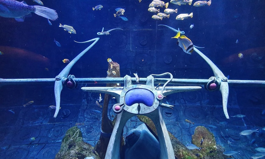 Image 4: Explore the Lost World Aquarium – Entry for Kids, Adults & Families