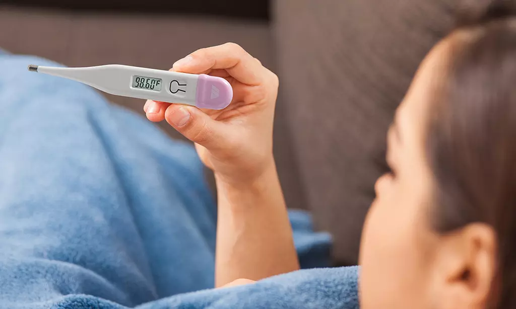 DMI Basal Digital Thermometer to Test Basal Body Temperature (BBT) - Primary Image