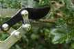 Garden Gear Tools - Telescopic Hedge Hears, Bypass and Anvil Loppers - Image 7
