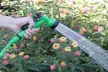 Tuyau d'arrosage extensible, longueur au choix - Second Medium