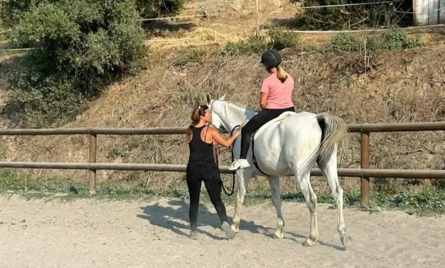 Image 5: Balade à cheval en forêt dans l'Eure