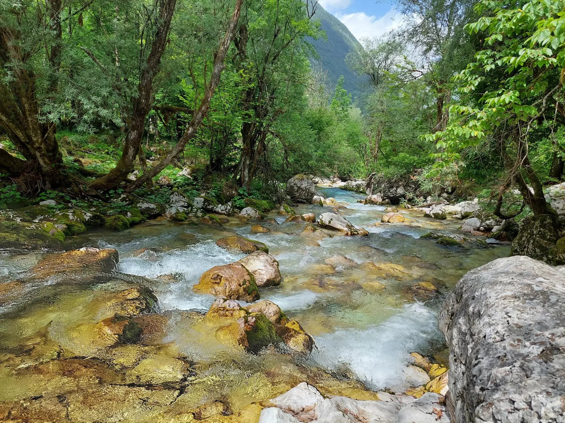 ✈ 7-Days in Slovenia w/ Air, Car & Hotel from Worldee