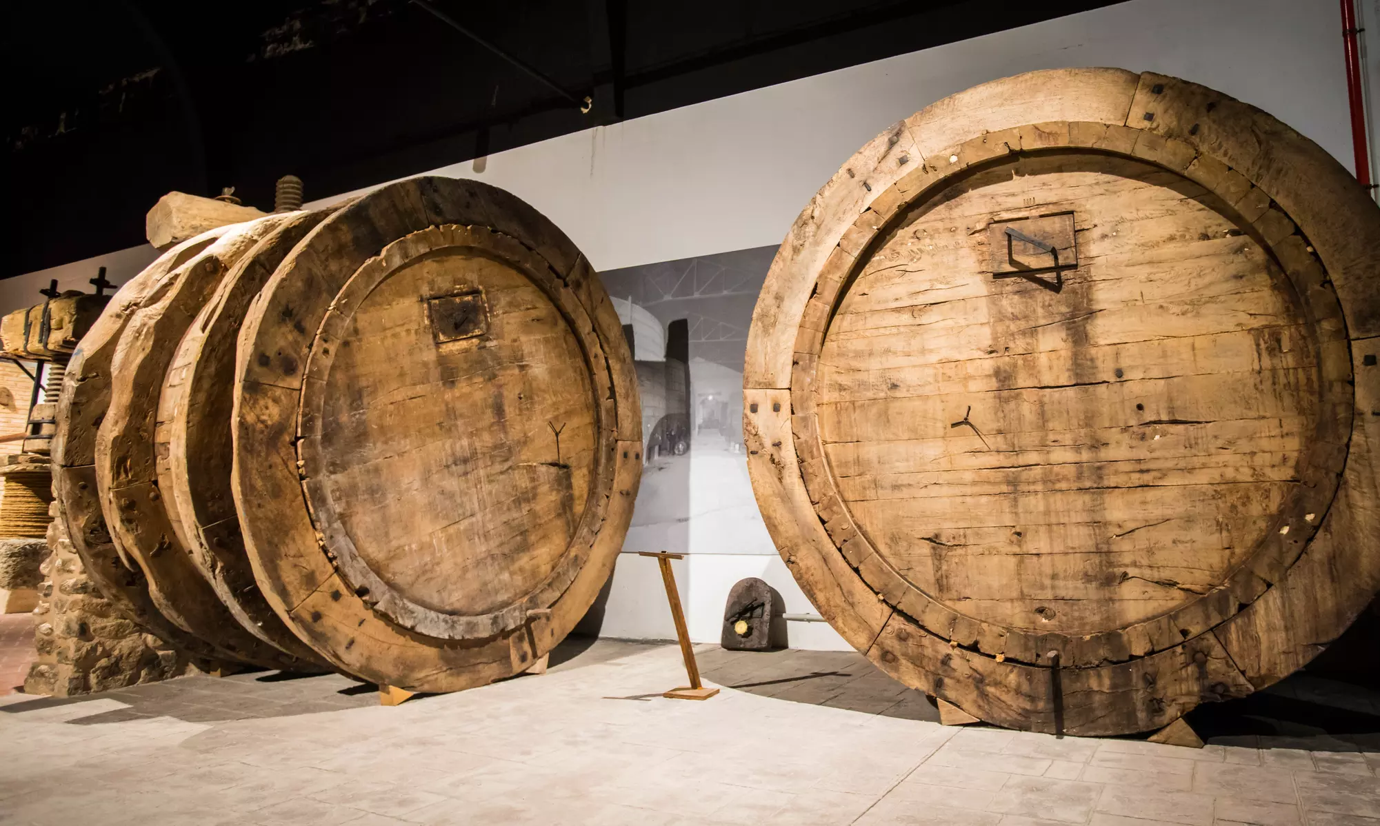 Ruta en bicicleta entre viñedos por la zona de Jumilla para 2 o 4