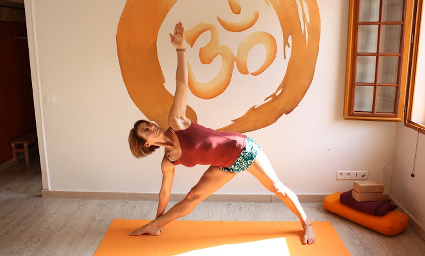 Image 2: Cours de Yoga Iyengar au choix au Centre de yoga Iyengar