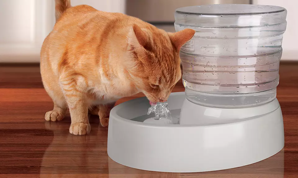 Animal Planet Pet Fountain - Primary Image