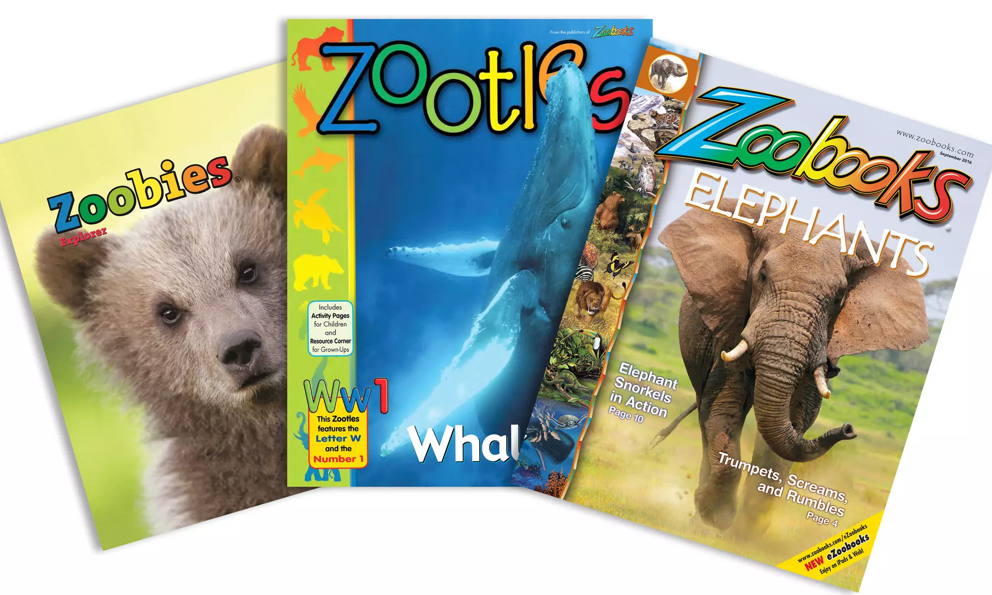 One- or Two-Year Subscription to "Zoobooks," "Zootles," or "Zoobies" Magazine (Up to 75% Off) - Primary Image