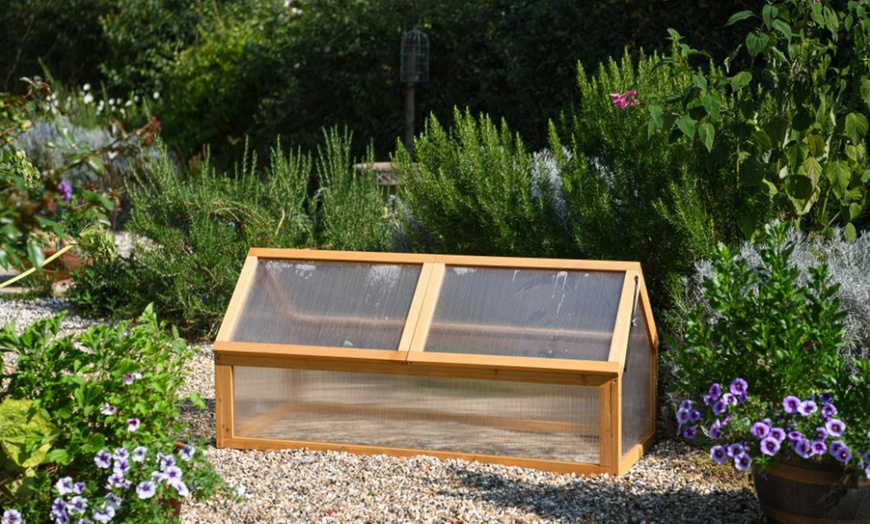 Image 16: Garden Grow Raised Wooden Cold Frame