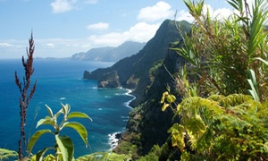 ✈ Rondreis Madeira: 7 overnachtingen in hotels, huurauto & vlucht AMS