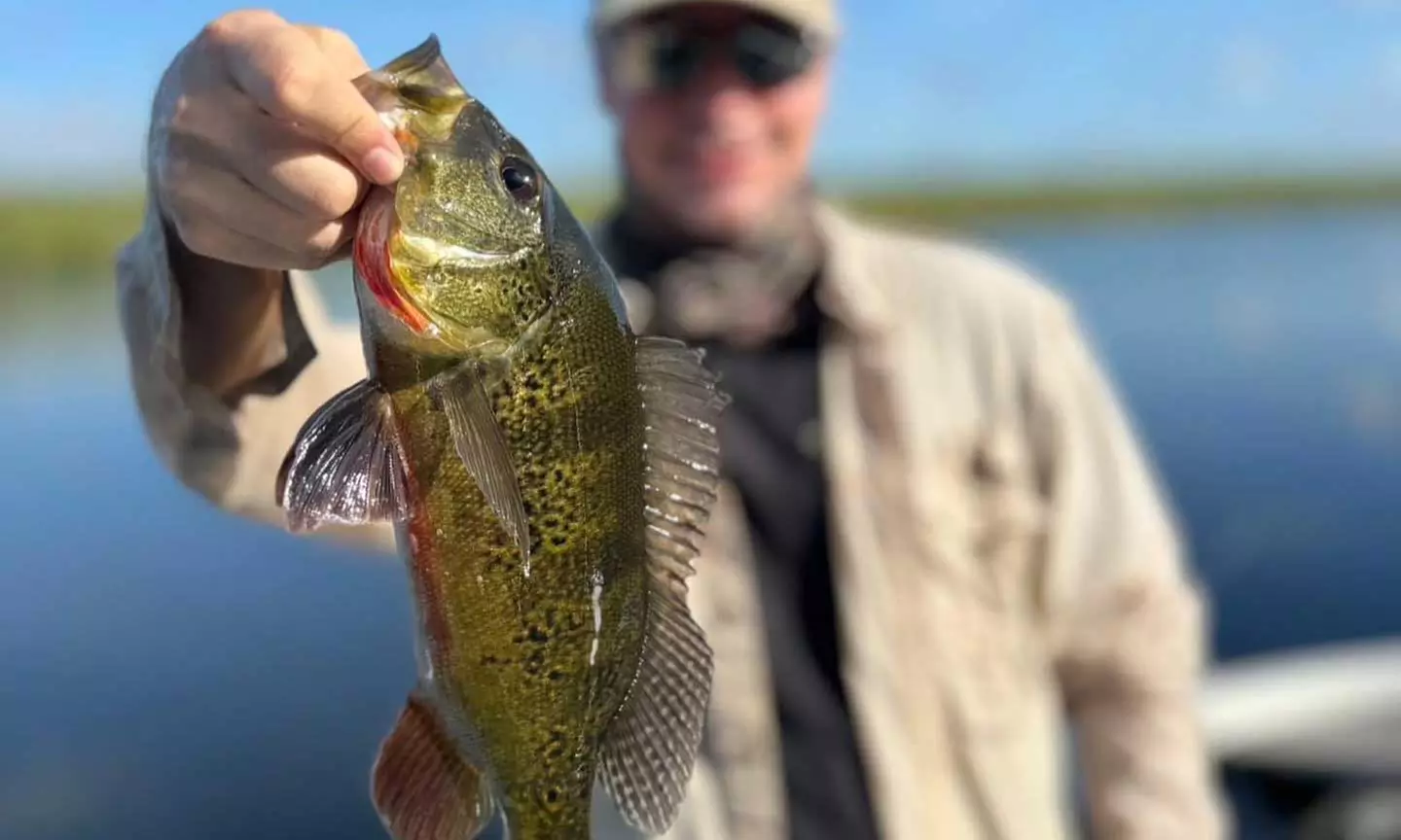  Explore Florida's Waters, Fishing Fun on a Full-Day Adventure for One or Two  - Primary Image