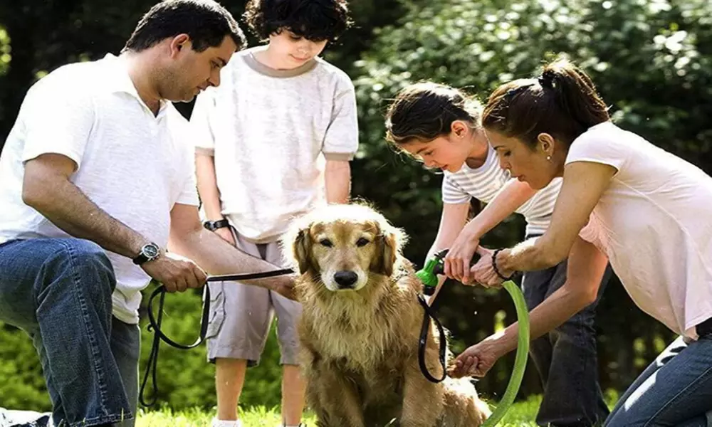 Manguera de jardín extensible 7,5 m o 15 m - Second Medium