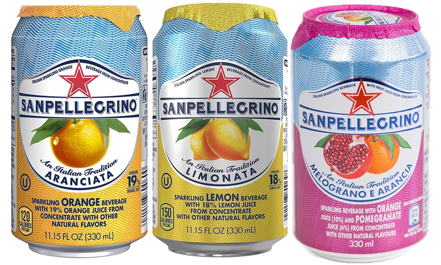 Image 1: 24 Cans of SanPellegrino Drink