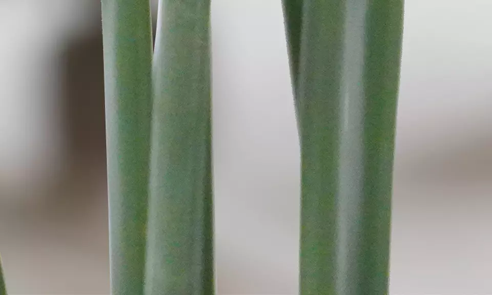 Collezione di piante finte da interno