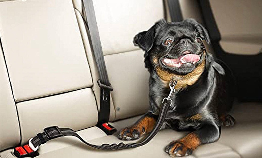 Image 2: One or Two Dog Car Seat Belts