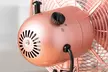 Daewoo 12'' Rose Gold Desk Fan - Image 3