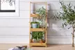Bamboo Three Tier Ladder Plant Stand - Image 3