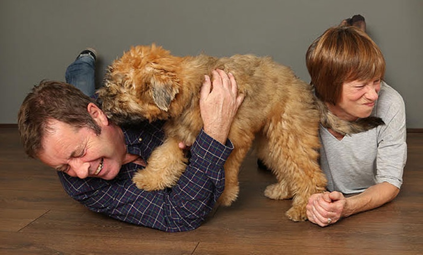 Image 2: Family Photoshoot with Pet