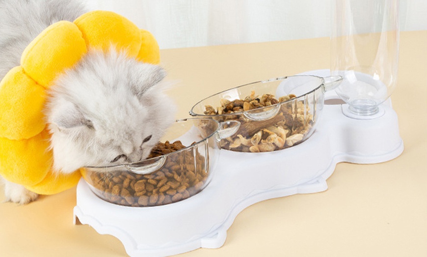 Image 5: Three-in-One Pet Feeding Bowl