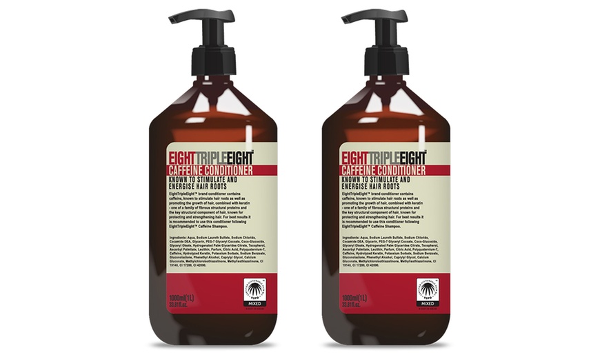 Image 2: Shampoo and Conditioner 1L