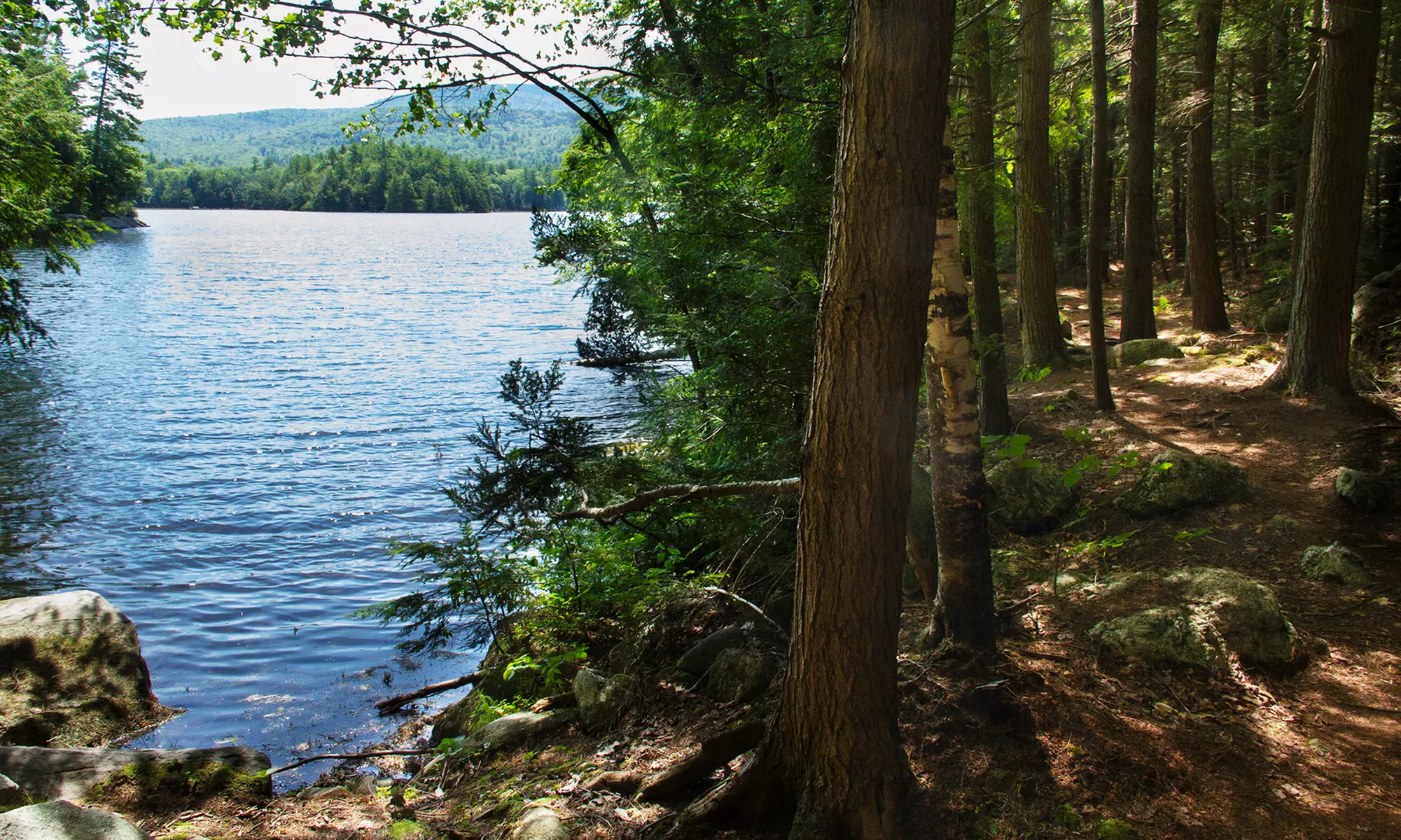 Stay at Sunapee Lake Lodge in Newbury, NH, with $20 Resort Credit per Stay. Dates into September.  - Primary Image