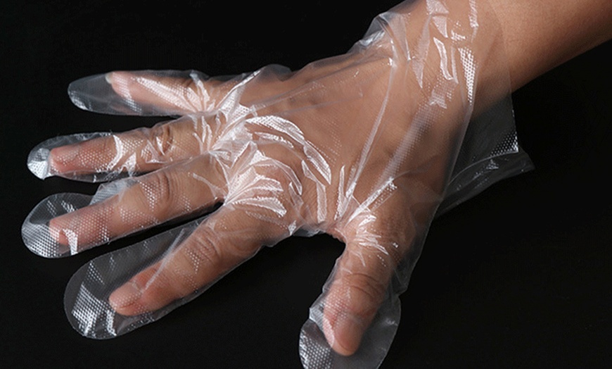 Image 5: 1 à 5 packs de 100 gants jetables en plastique