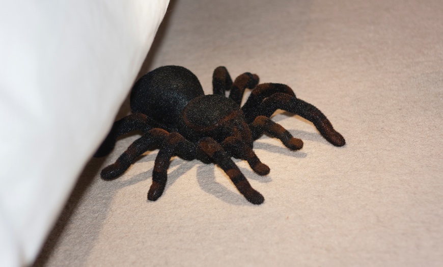 Image 2: Remote-Controlled Tarantula